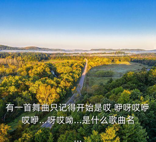 有一首舞曲只记得开始是哎 咿呀哎咿哎咿...呀哎呦...是什么歌曲名...