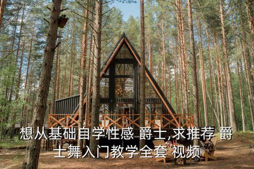 想从基础自学性感 爵士,求推荐 爵士舞入门教学全套 视频