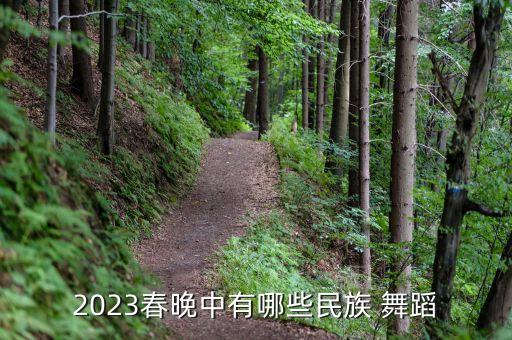 2023春晚中有哪些民族 舞蹈