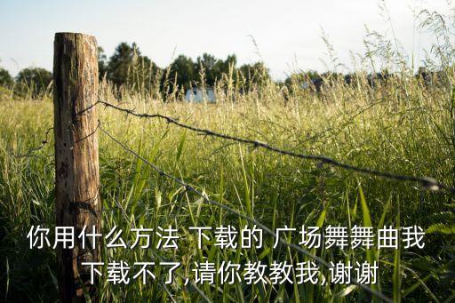 你用什么方法 下载的 广场舞舞曲我 下载不了,请你教教我,谢谢