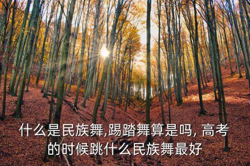 适合高考的舞蹈,高考舞蹈可以加分吗