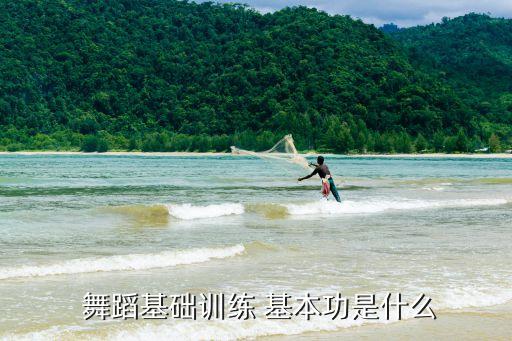  舞蹈基础训练 基本功是什么