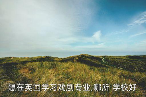 想在英国学习戏剧专业,哪所 学校好