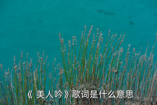 《 美人吟》歌词是什么意思