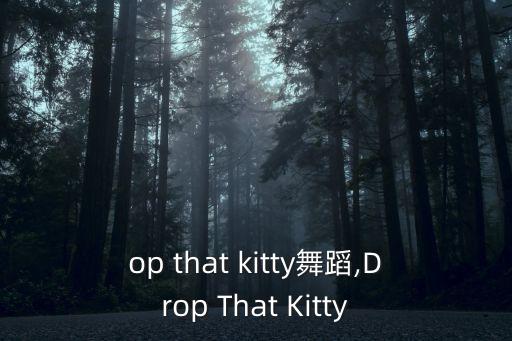 drop that kitty舞蹈,Drop That Kitty