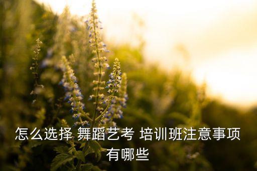 怎么选择 舞蹈艺考 培训班注意事项有哪些