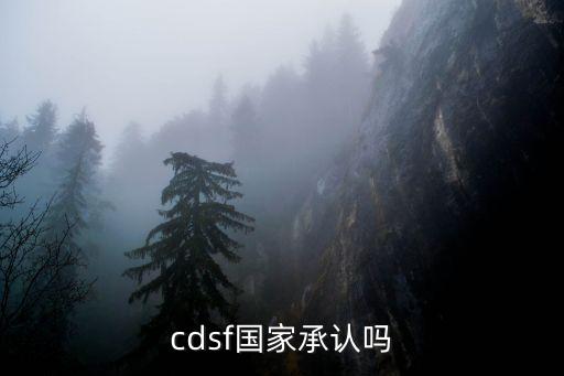 cdsf国家承认吗