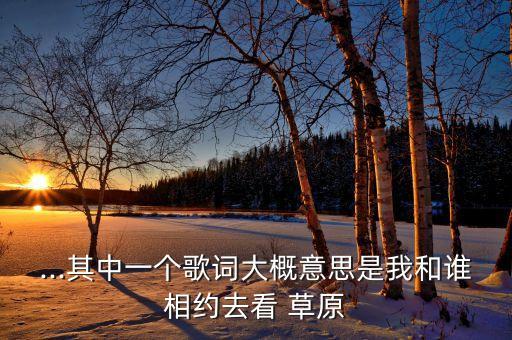 ...其中一个歌词大概意思是我和谁相约去看 草原