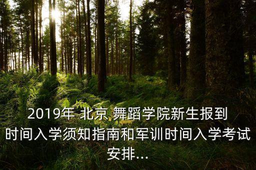 北京 心理舞蹈,心理式结构舞蹈作品