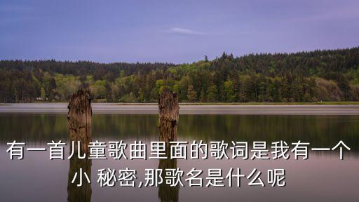 有一首儿童歌曲里面的歌词是我有一个小 秘密,那歌名是什么呢