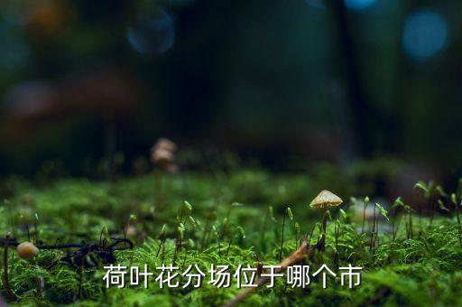  荷叶花分场位于哪个市