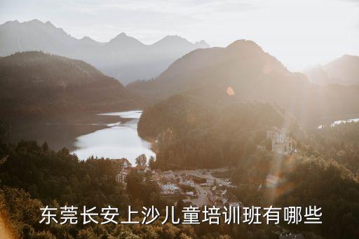  东莞长安上沙儿童培训班有哪些