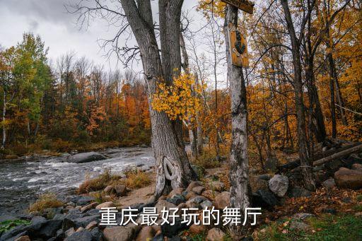 重庆最好玩的舞厅