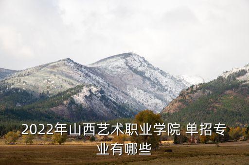 2022年山西艺术职业学院 单招专业有哪些