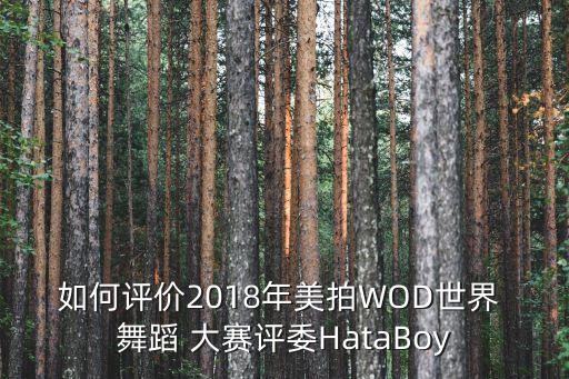 如何评价2018年美拍WOD世界 舞蹈 大赛评委HataBoy