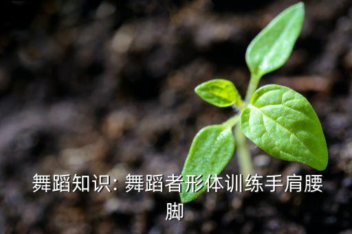  舞蹈知识: 舞蹈者形体训练手肩腰脚