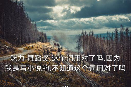 魅力 舞蹈奖,这个词用对了吗,因为我是写小说的,不知道这个词用对了吗...