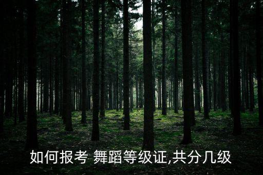 谁有办舞蹈证的电话
