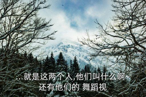 ...就是这两个人,他们叫什么啊~还有他们的 舞蹈视