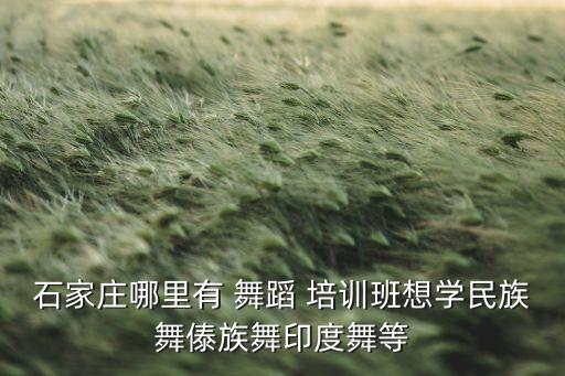石家庄哪里有 舞蹈 培训班想学民族舞傣族舞印度舞等