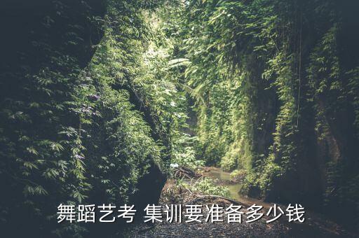 舞蹈学院寒假集训班,烟台艺校寒假少儿舞蹈班