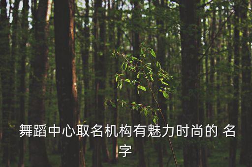  舞蹈中心取名机构有魅力时尚的 名字