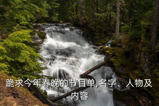 龙的传人小学生舞蹈
