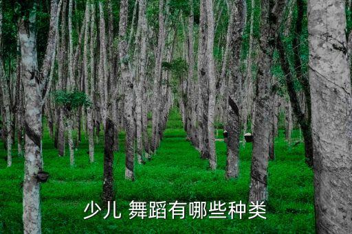 少儿 舞蹈有哪些种类