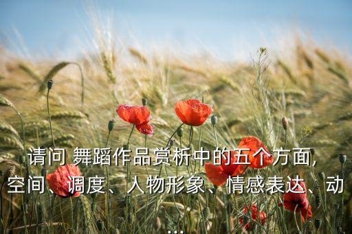 请问 舞蹈作品赏析中的五个方面, 空间、调度、人物形象、情感表达、动...
