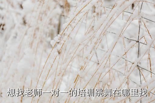 一对一学舞蹈,小孩学舞蹈有必要一对一吗