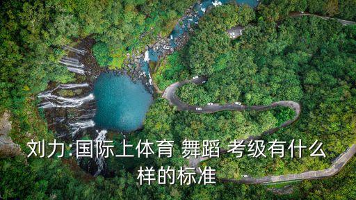 刘力:国际上体育 舞蹈 考级有什么样的标准