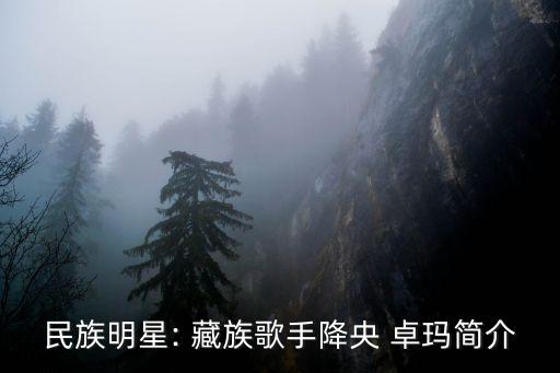 藏族舞蹈卓玛李老师