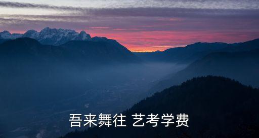 吾来舞往 艺考学费