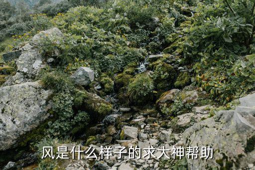 风是什么样子的求大神帮助