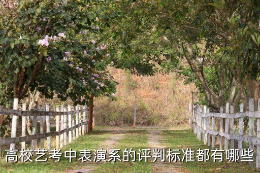 高校艺考中表演系的评判标准都有哪些