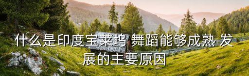 什么是印度宝莱坞 舞蹈能够成熟 发展的主要原因