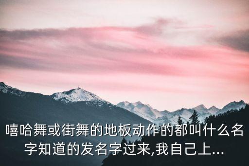 嘻哈舞或街舞的地板动作的都叫什么名字知道的发名字过来,我自己上...