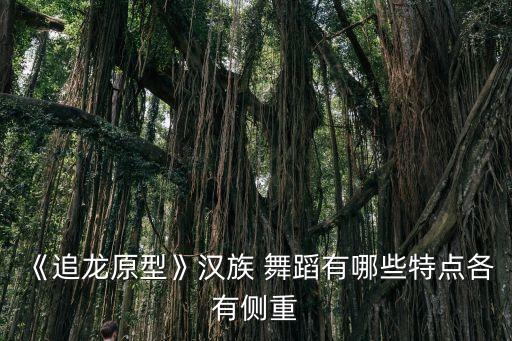 《追龙原型》汉族 舞蹈有哪些特点各有侧重