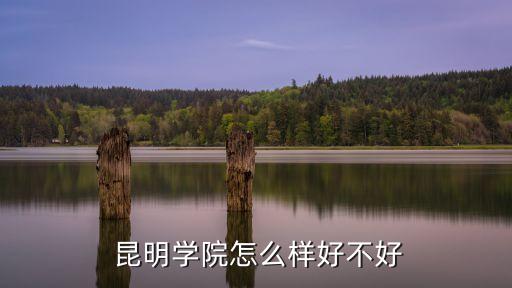  昆明学院怎么样好不好