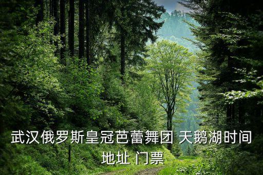 南昌天鹅湖艺术舞蹈培训