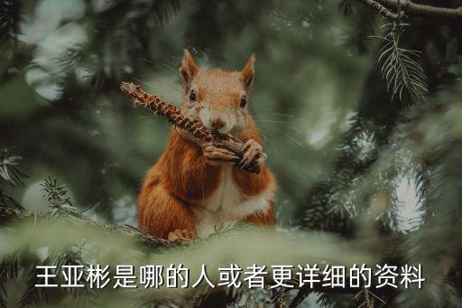 王亚彬是哪的人或者更详细的资料
