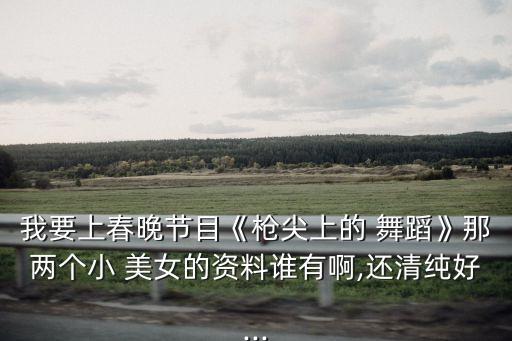 我要上春晚节目《枪尖上的 舞蹈》那两个小 美女的资料谁有啊,还清纯好...