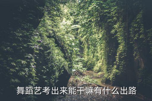  舞蹈艺考出来能干嘛有什么出路