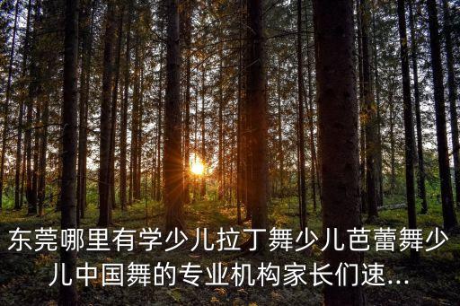 舞星级艺术舞蹈在哪里