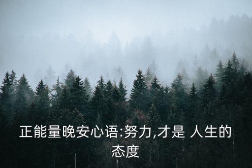 正能量晚安心语:努力,才是 人生的态度