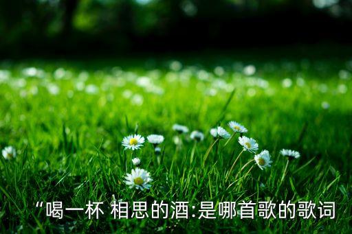 “喝一杯 相思的酒:是哪首歌的歌词