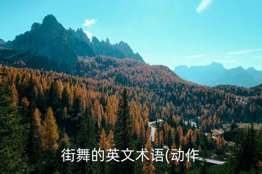 breaking舞蹈动作名称,和平精英所有舞蹈动作名称