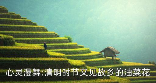 心灵漫舞:清明时节又见故乡的油菜花