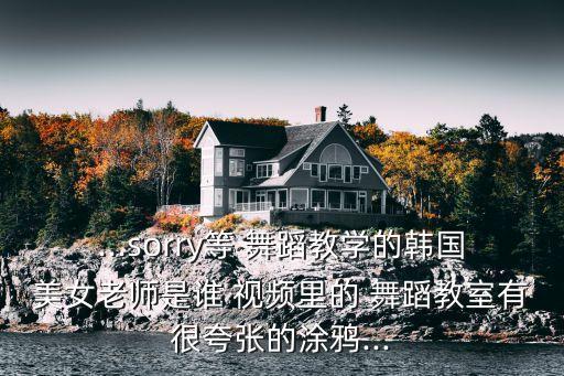 ...sorry等 舞蹈教学的韩国美女老师是谁 视频里的 舞蹈教室有很夸张的涂鸦...