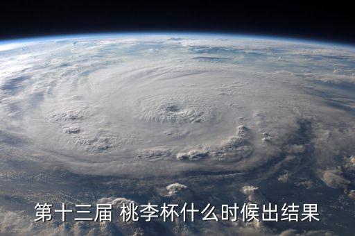 第十三届 桃李杯什么时候出结果